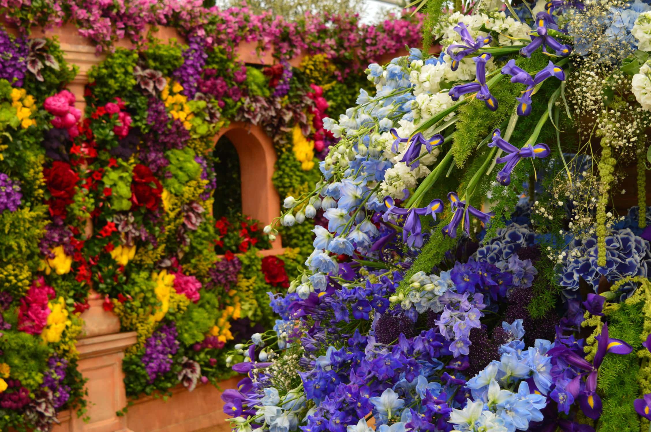 Chelsea flower show