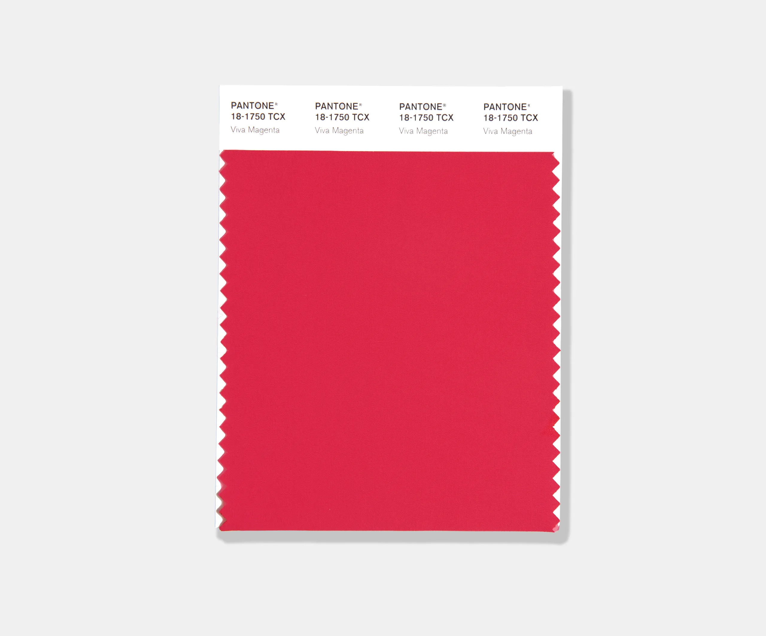 Viva Magenta - The Pantone colour of 2023 - Company of Master